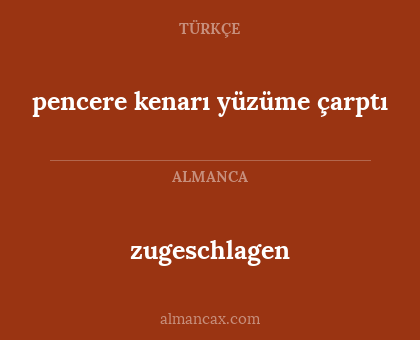pencere kenarı yüzüme çarptı - zugeschlagen
