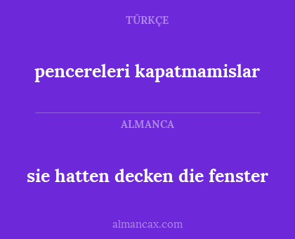 sie hatten decken die fenster - pencereleri kapatmamislar