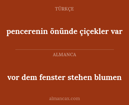 vor dem fenster stehen blumen - pencerenin önünde çiçekler var