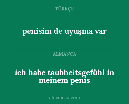 penisim de uyuşma var - ich habe taubheitsgefühl in meinem penis