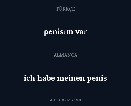 penisim var - ich habe meinen penis