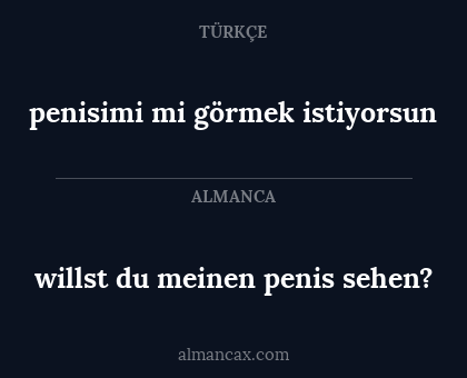 willst du meinen penis sehen? - penisimi mi görmek istiyorsun