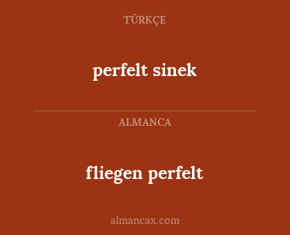fliegen perfelt - perfelt sinek