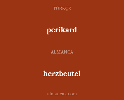 perikard - herzbeutel