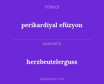 herzbeutelerguss - perikardiyal efüzyon