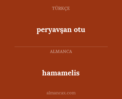 hamamelis - peryavşan otu