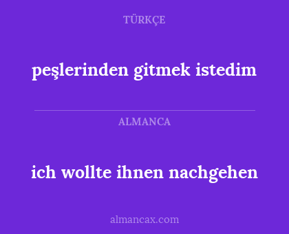 peşlerinden gitmek istedim - ich wollte ihnen nachgehen