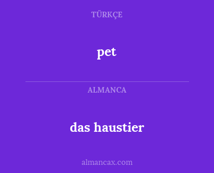 pet - das haustier