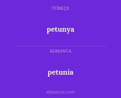 petunia - petunya