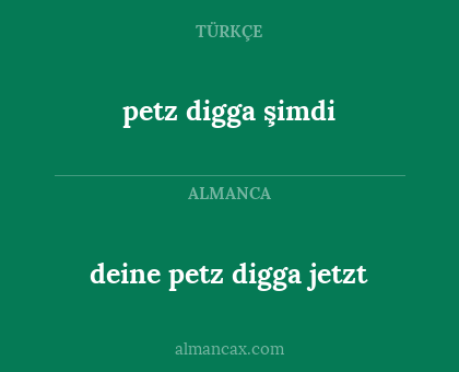 petz digga şimdi - deine petz digga jetzt