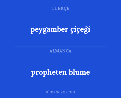 peygamber çiçeği - propheten blume