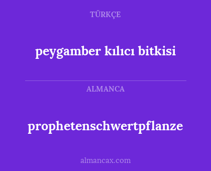 prophetenschwertpflanze - peygamber kılıcı bitkisi