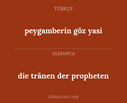 die tränen der propheten - peygamberin göz yasi