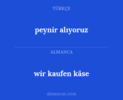 wir kaufen käse - peynir alıyoruz