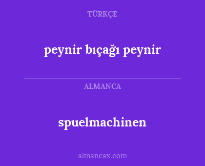 peynir bıçağı peynir - spuelmachinen