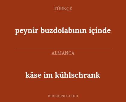 peynir buzdolabının içinde - käse im kühlschrank