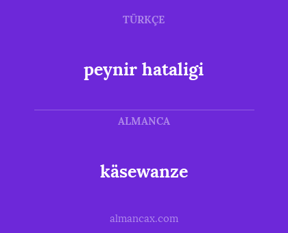 käsewanze - peynir hataligi