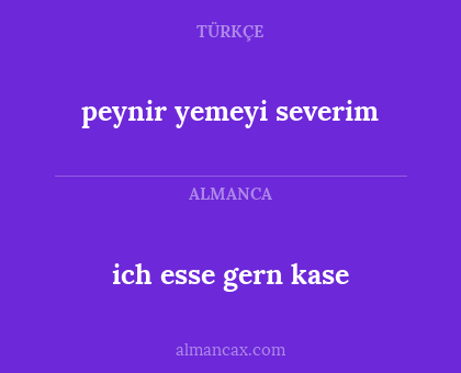 ich esse gern kase - peynir yemeyi severim