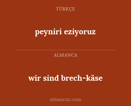 wir sind brech-käse - peyniri eziyoruz