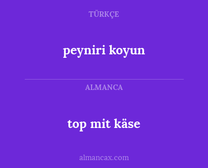 top mit käse - peyniri koyun