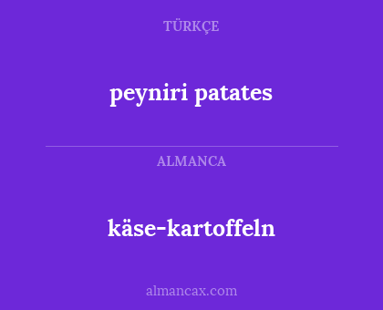käse-kartoffeln - peyniri patates