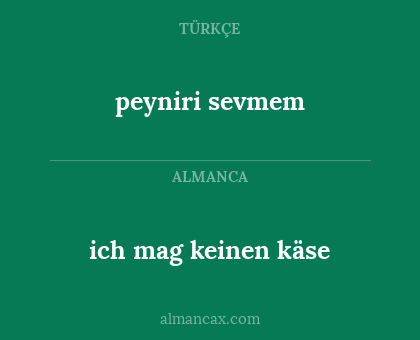 ich mag keinen käse - peyniri sevmem