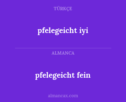 pfelegeicht fein - pfelegeicht iyi