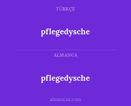 pflegedysche - pflegedysche