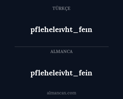 pfleheleivht_fein - pfleheleıvht_feın