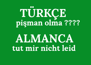 pi%C5%9Fman+olma+%3F%3F%3F%3F-tut+mir+nicht+leid.png
