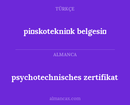 psychotechnisches zertifikat - pi̇skotekni̇k belgesi̇