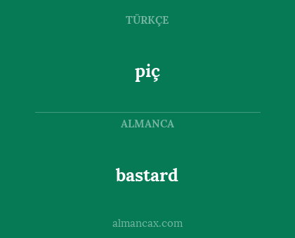 piç - bastard