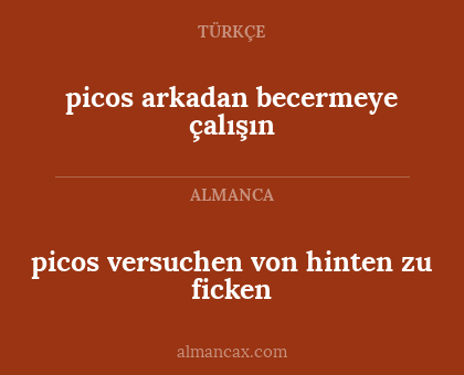 picos versuchen von hinten zu ficken - picos arkadan becermeye çalışın