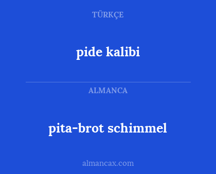 pide kalibi - pita-brot schimmel