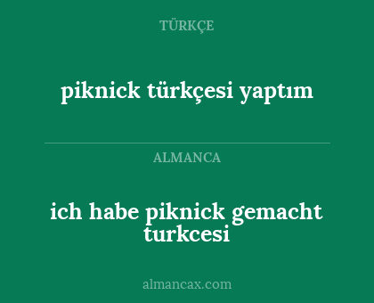 piknick türkçesi yaptım - ich habe piknick gemacht turkcesi
