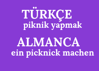 piknik+yapmak-ein+picknick+machen.png