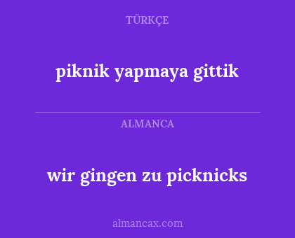 wir gingen zu picknicks - piknik yapmaya gittik