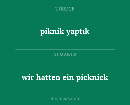 piknik yaptık - wir hatten ein picknick
