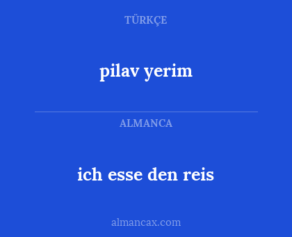 ich esse den reis - pilav yerim