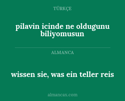 wissen sie, was ein teller reis - pilavin icinde ne oldugunu biliyomusun