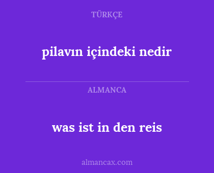 pilavın içindeki nedir - was ist in den reis