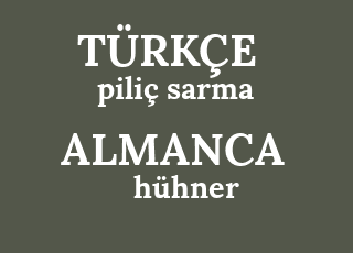 pili%C3%A7+sarma-h%C3%BChner-wrap.png