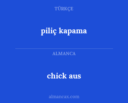 piliç kapama - chick aus