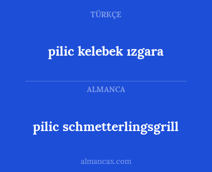 pilic schmetterlingsgrill - pilic kelebek ızgara