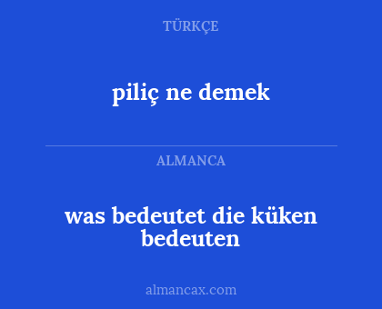 piliç ne demek - was bedeutet die küken bedeuten
