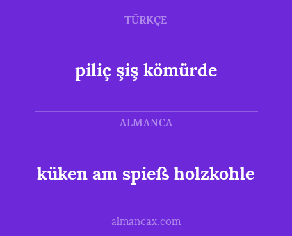piliç şiş kömürde - küken am spieß holzkohle
