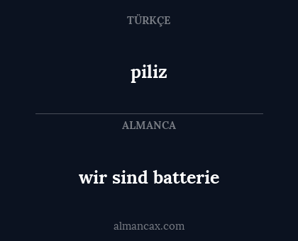 wir sind batterie - piliz