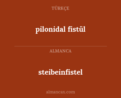 steibeinfistel - pilonidal fistül