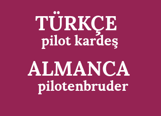 pilot+karde%C5%9F-pilotenbruder.png