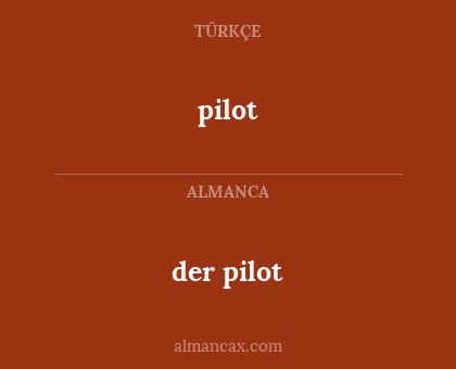 pilot - der pilot